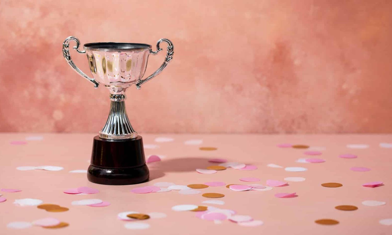 Trophées de l'économie numérique I Filianse